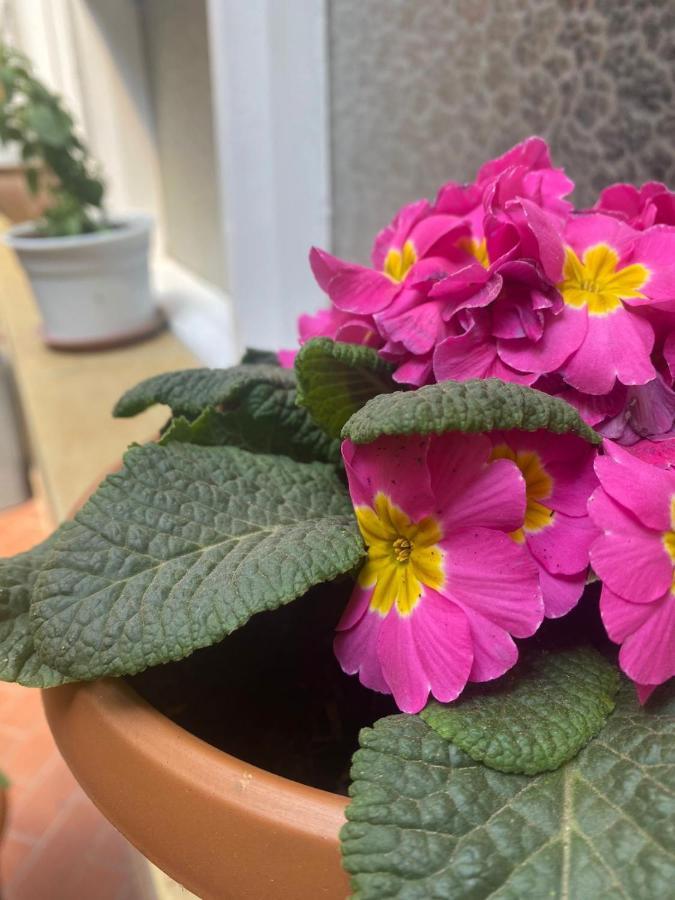 La Negrita Host Bed and Breakfast Σούκρε Εξωτερικό φωτογραφία